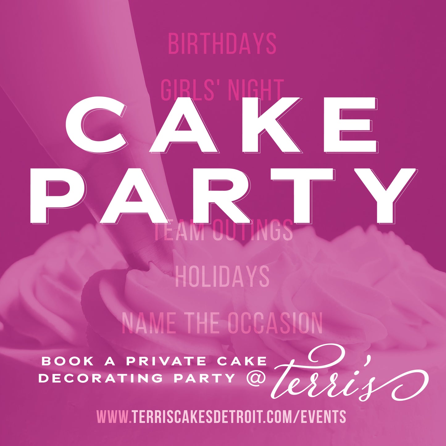 Cake Decorating Party