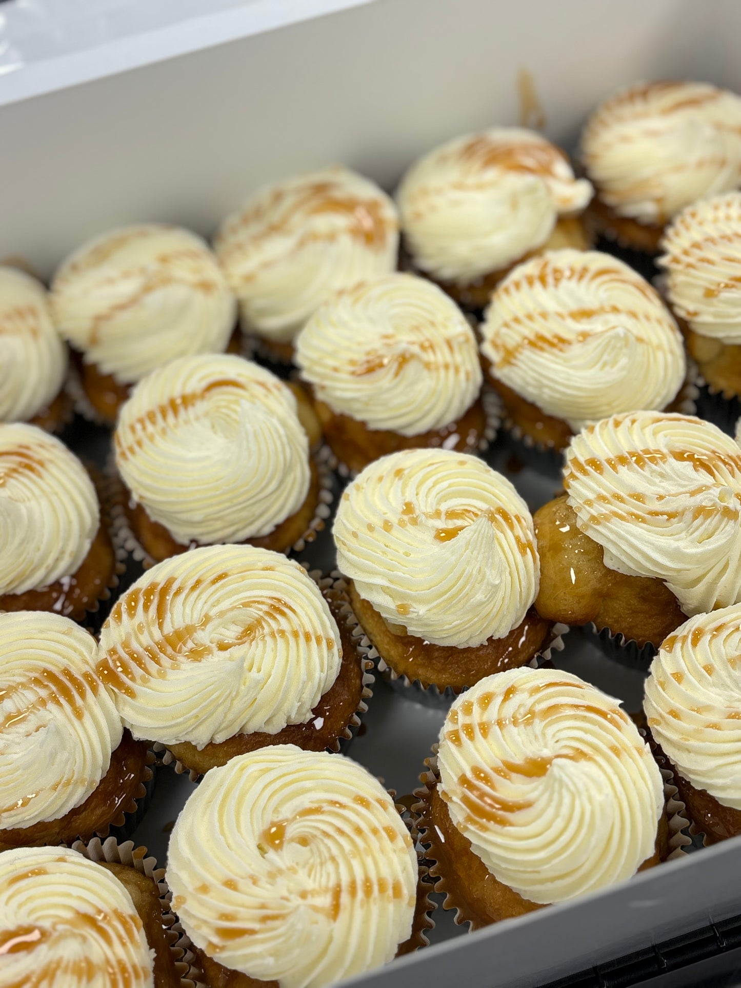 Two Dozen Standard Cupcakes