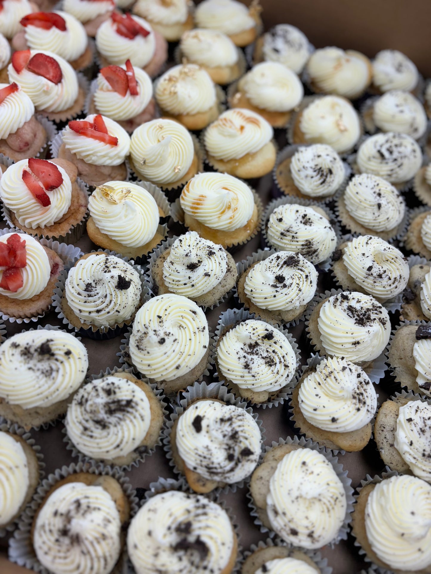 Two Dozen Standard Cupcakes