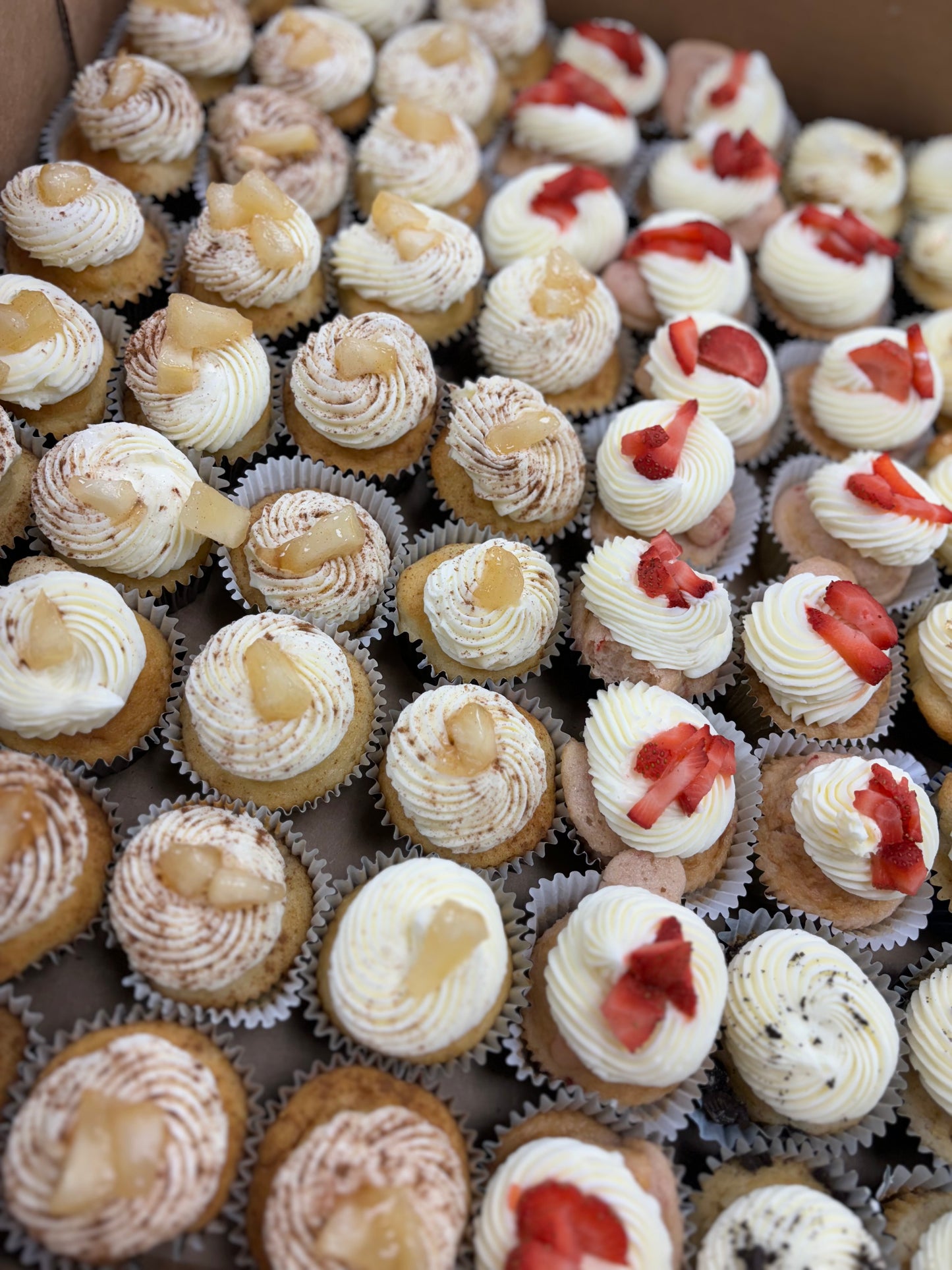 Two Dozen Standard Cupcakes